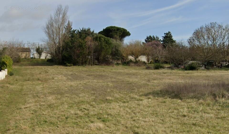 Terrain à SAINT-LEON