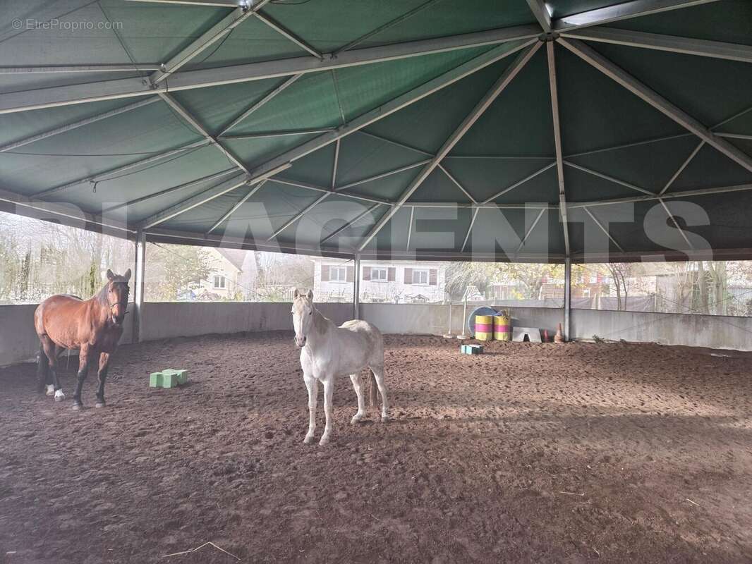 5 - Maison à VINNEUF