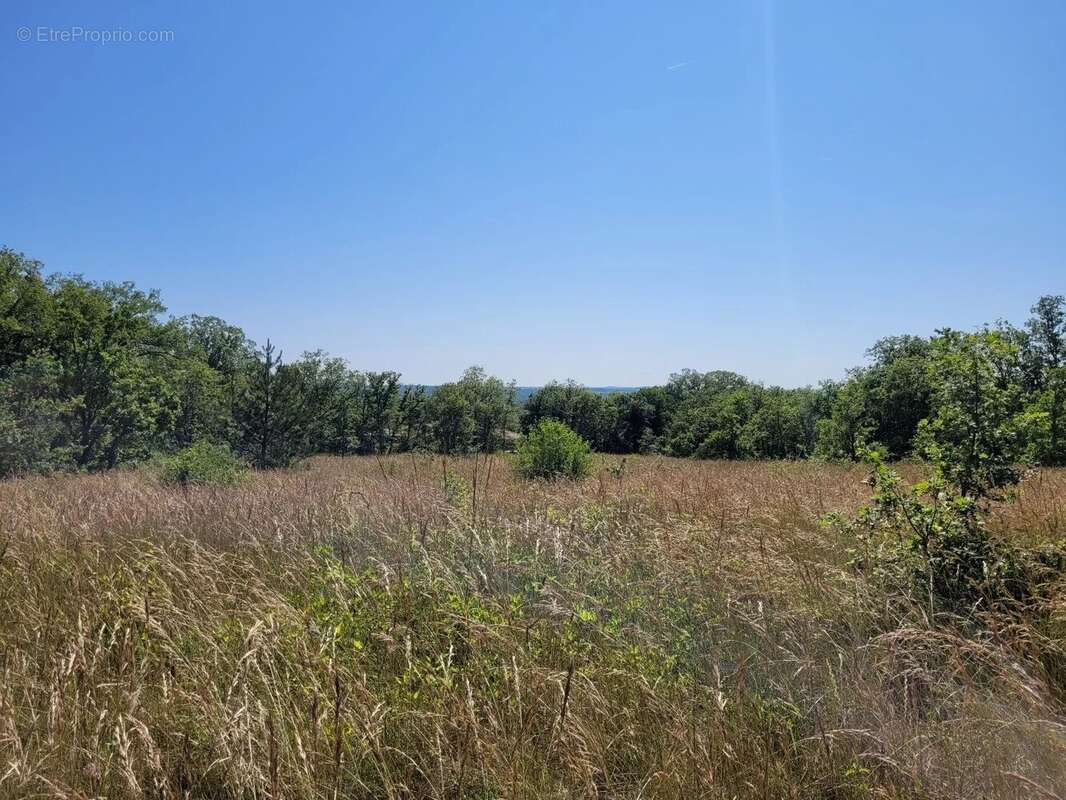 Terrain à ESCLAUZELS