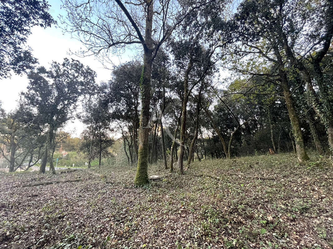 Terrain à LONGEVILLE-SUR-MER