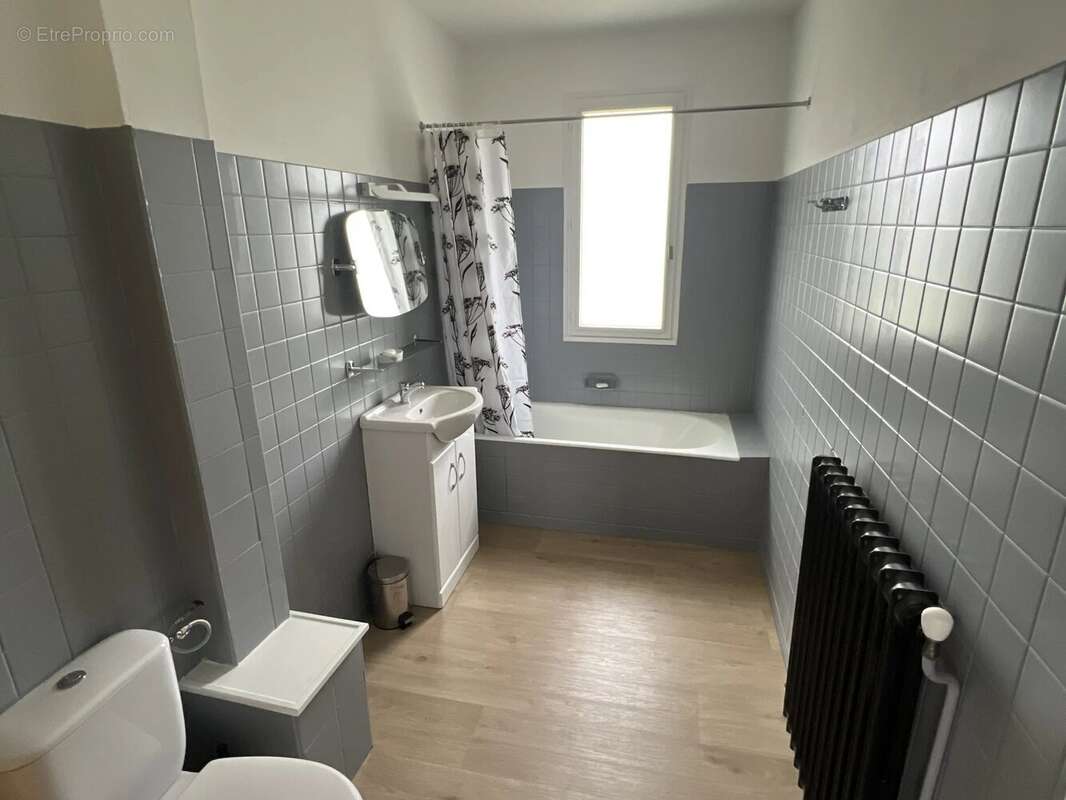 Maison à MEZIERES-SUR-ISSOIRE