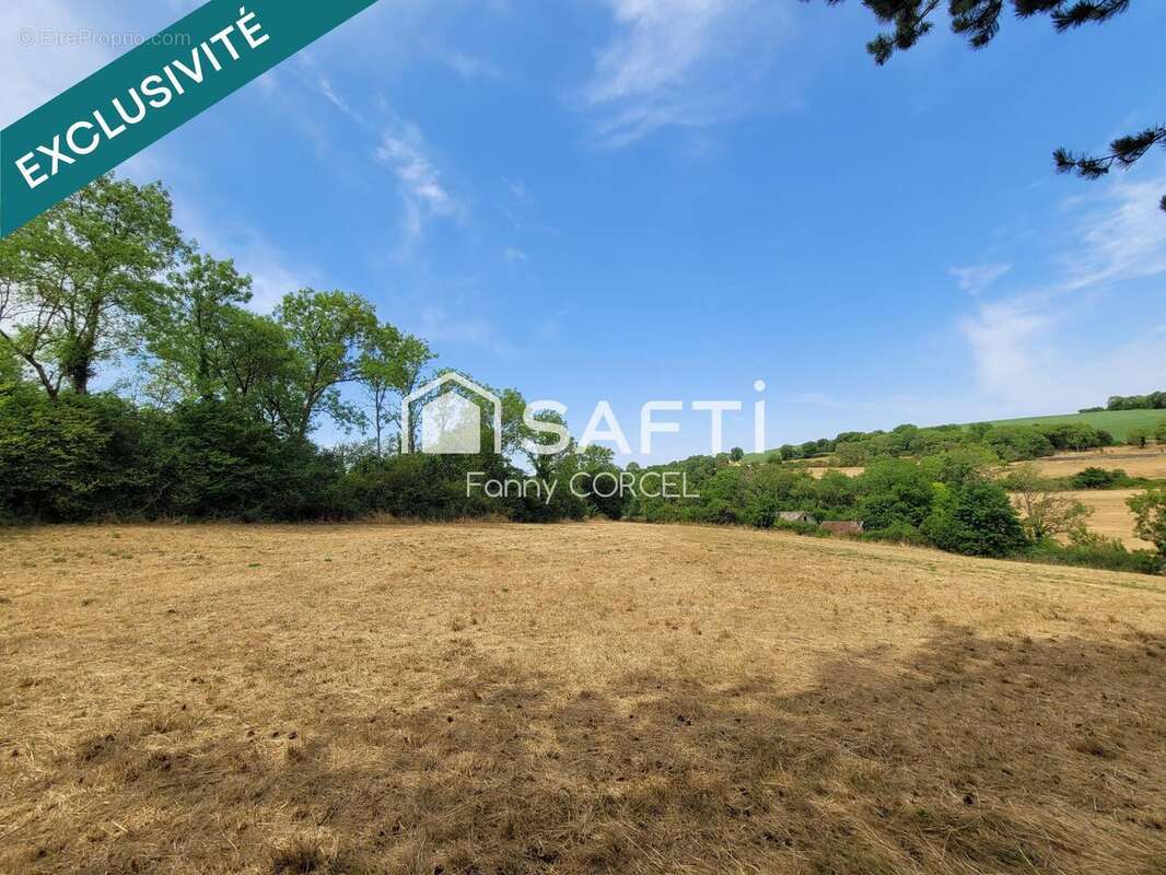 Terrain 12037 m² à Salives  - photo 3