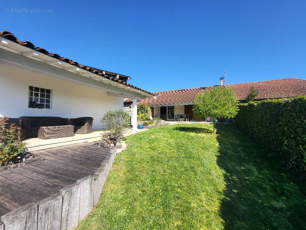 Maison à PONT-DE-VEYLE