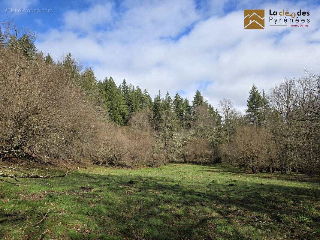 Terrain à ARRAS-EN-LAVEDAN
