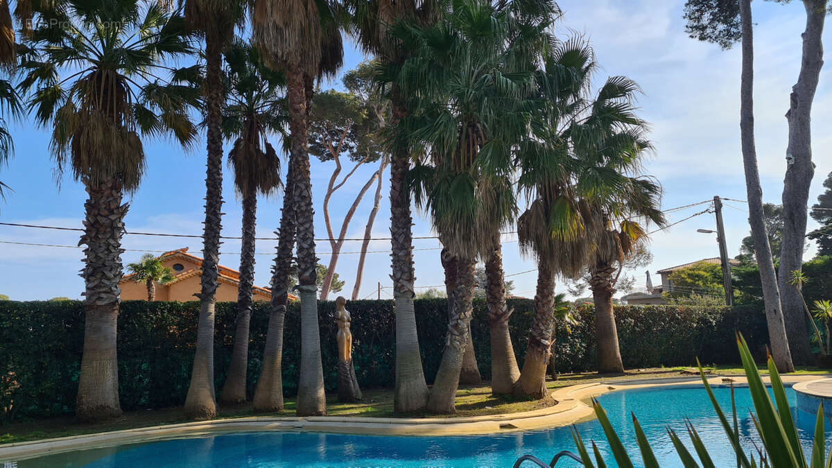 Maison 450 m² à Antibes  - photo 8