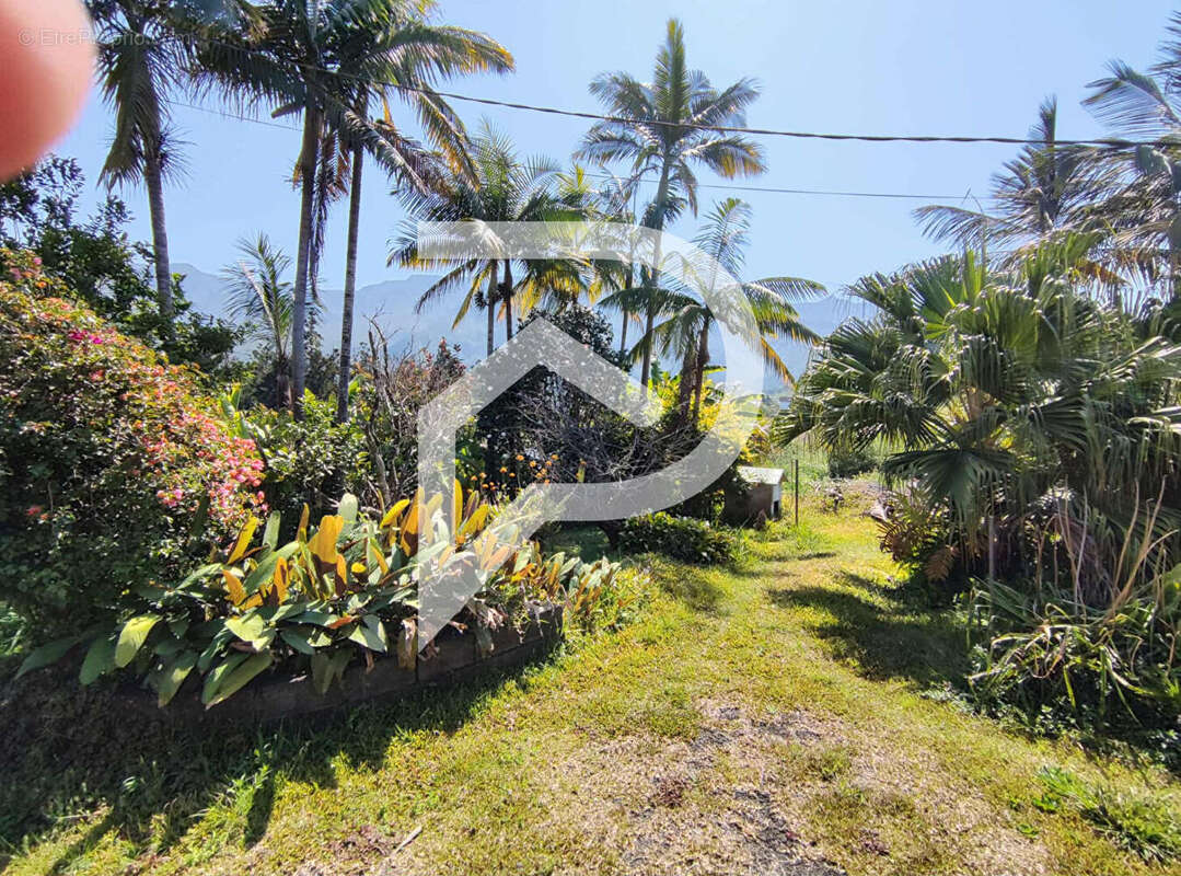 Maison à SAINT-LOUIS