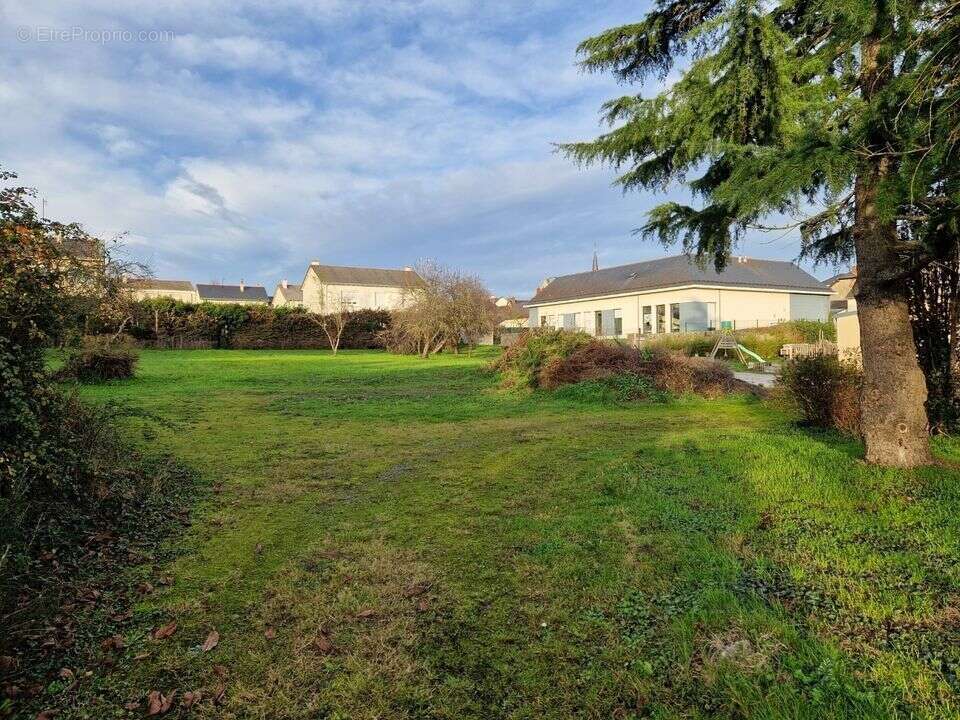 Terrain à CHAMPTOCE-SUR-LOIRE