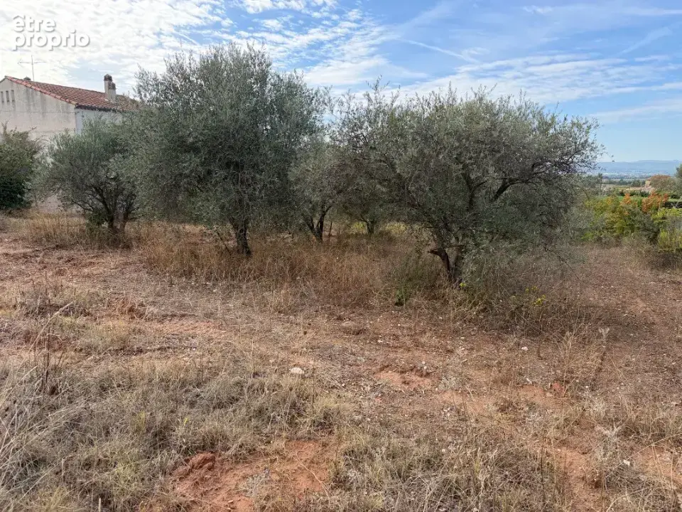 Terrain 446 m² à vendre à Pourrieres (83910) - photo 3