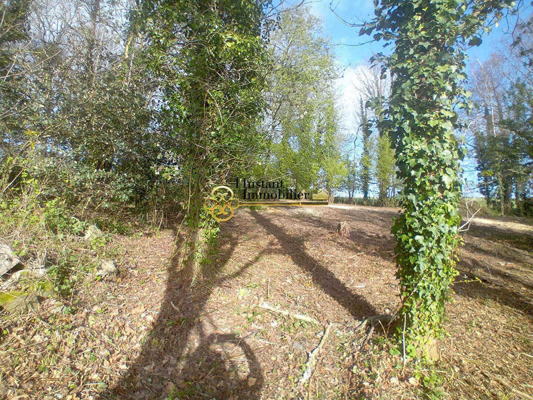 Terrain à SAINT-JEAN-DU-DOIGT