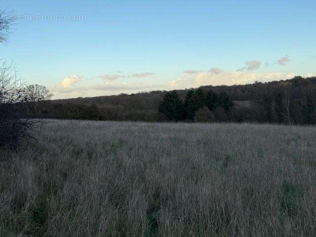 Terrain à SAINT-GERMAIN-D&#039;AUNAY