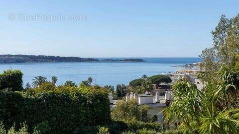 Appartement 104 m² à Cannes  - photo 2
