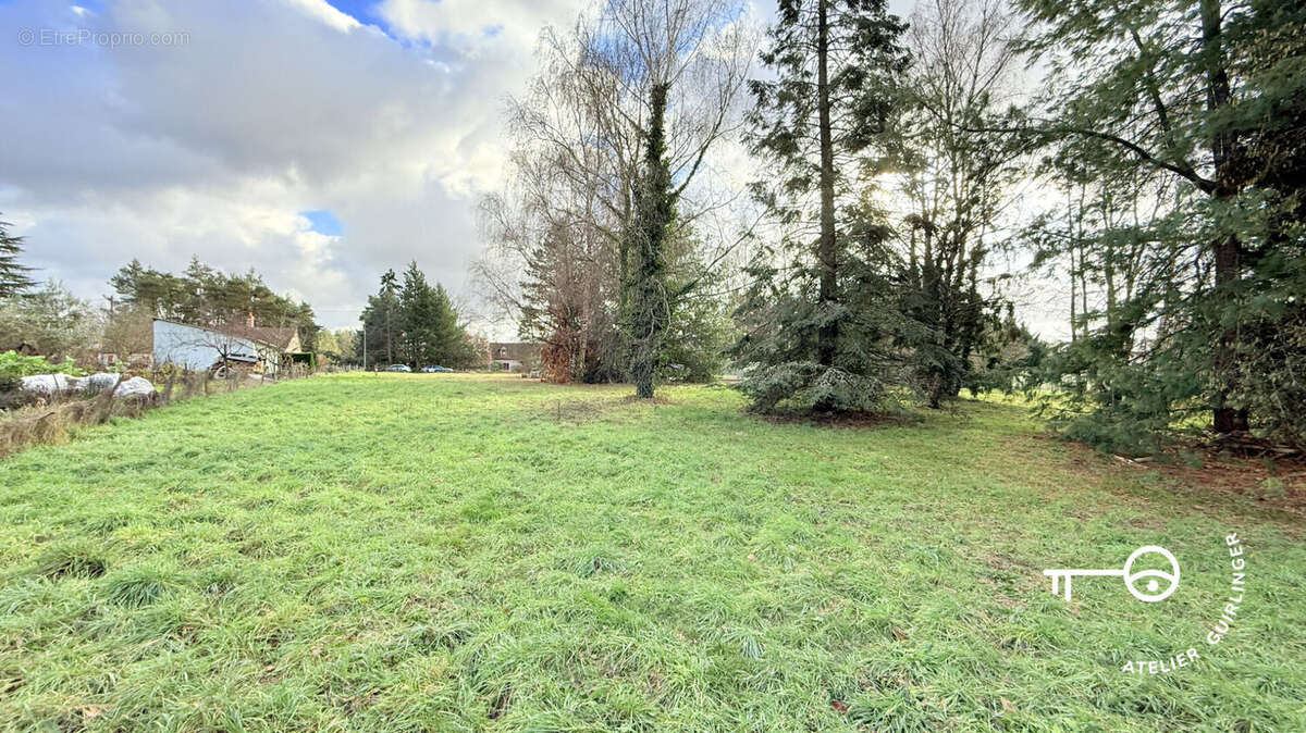 Terrain à MONTRIEUX-EN-SOLOGNE