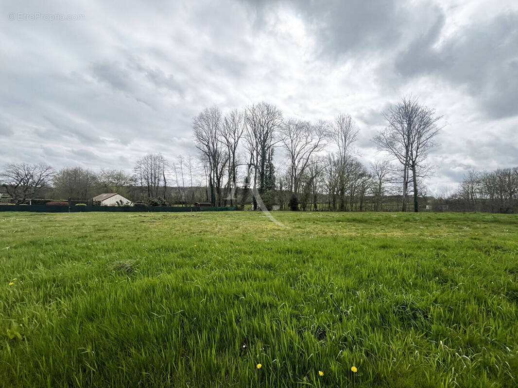 Terrain à SAINTE-MESME