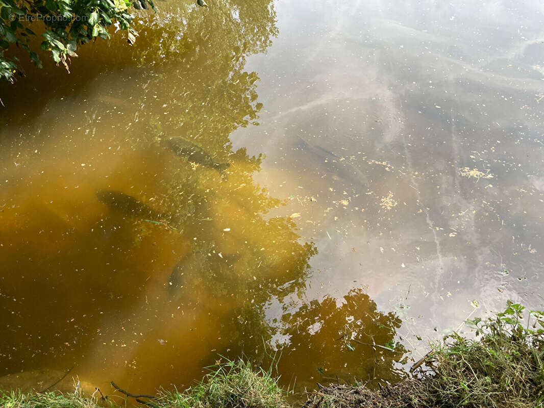 Terrain à LA GENEYTOUSE