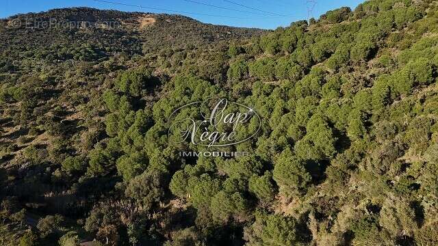 Terrain à BORMES-LES-MIMOSAS