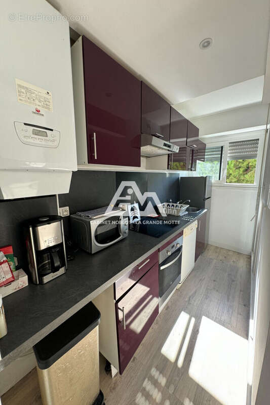 Appartement à LA GRANDE-MOTTE
