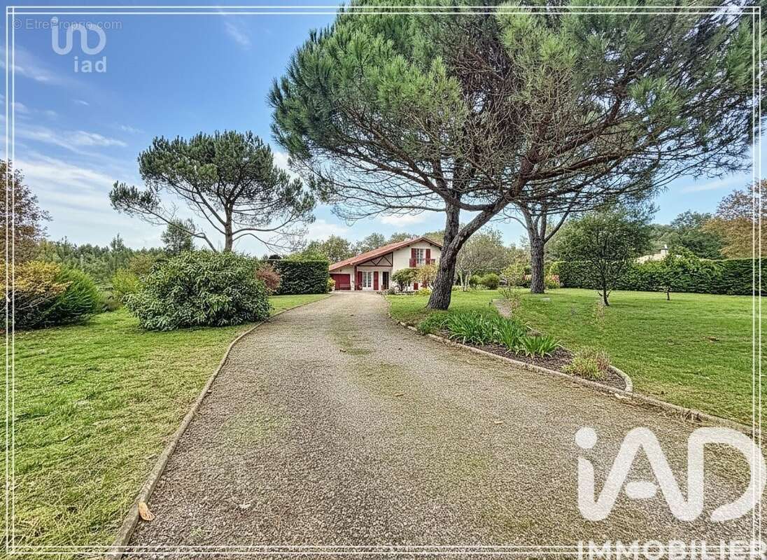 Photo 4 - Maison à MAGESCQ