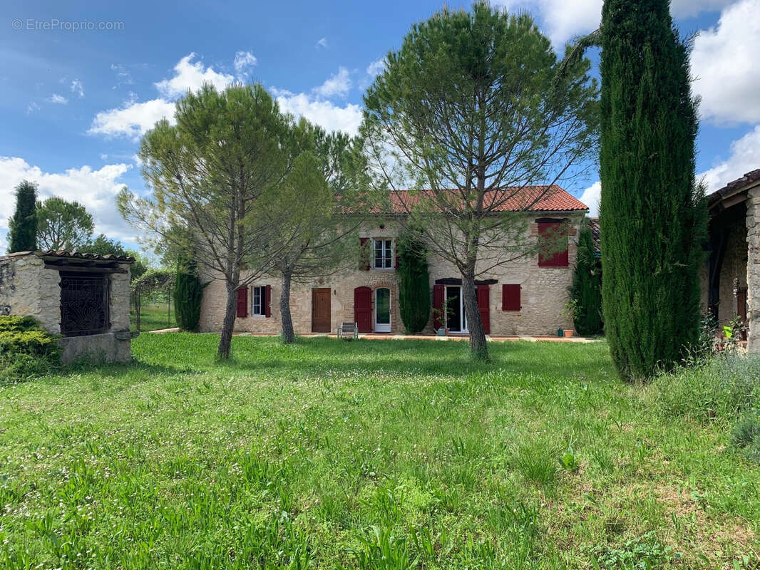 Brin de cocagne - photo 26