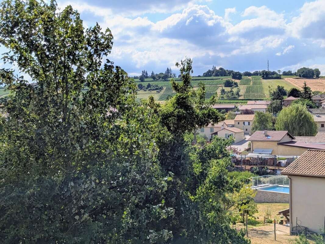 Maison 225 m² à Hurigny  - photo 21