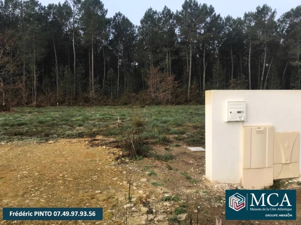 Terrain à SAINT-MARTIN-D'ONEY