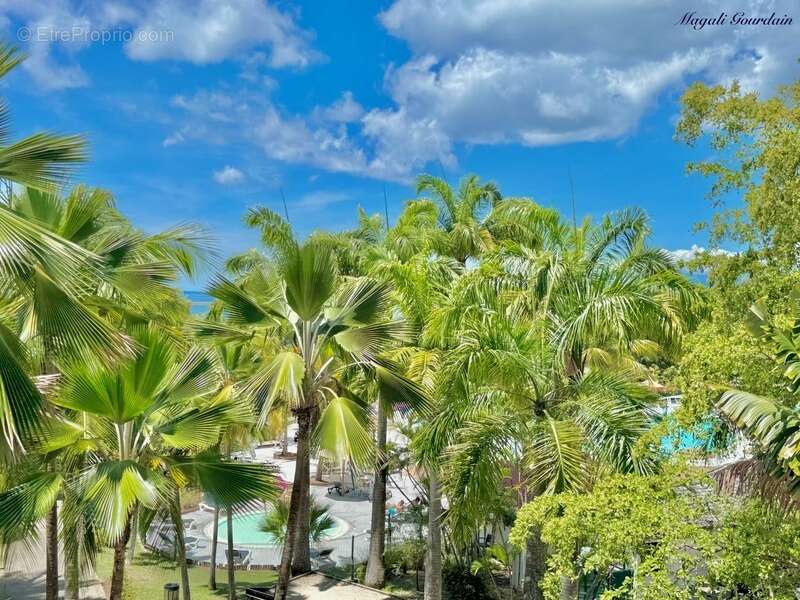 Appartement à SAINTE-ANNE