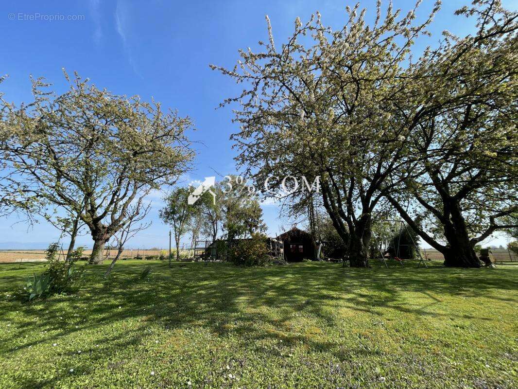 Terrain à BERSTETT