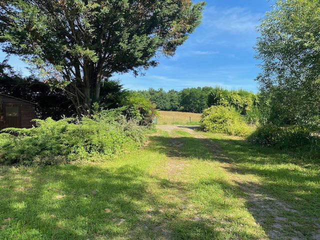 Terrain à BOURG-LE-COMTE