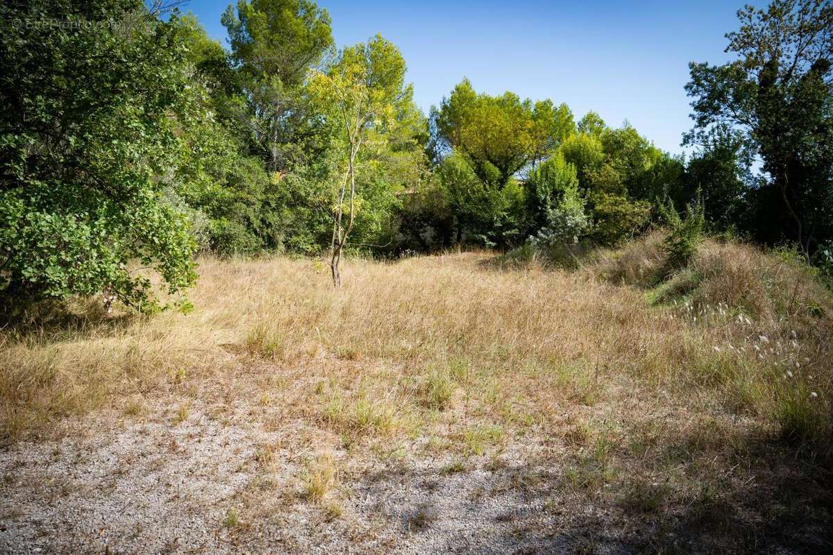 Terrain à PRADES-LE-LEZ