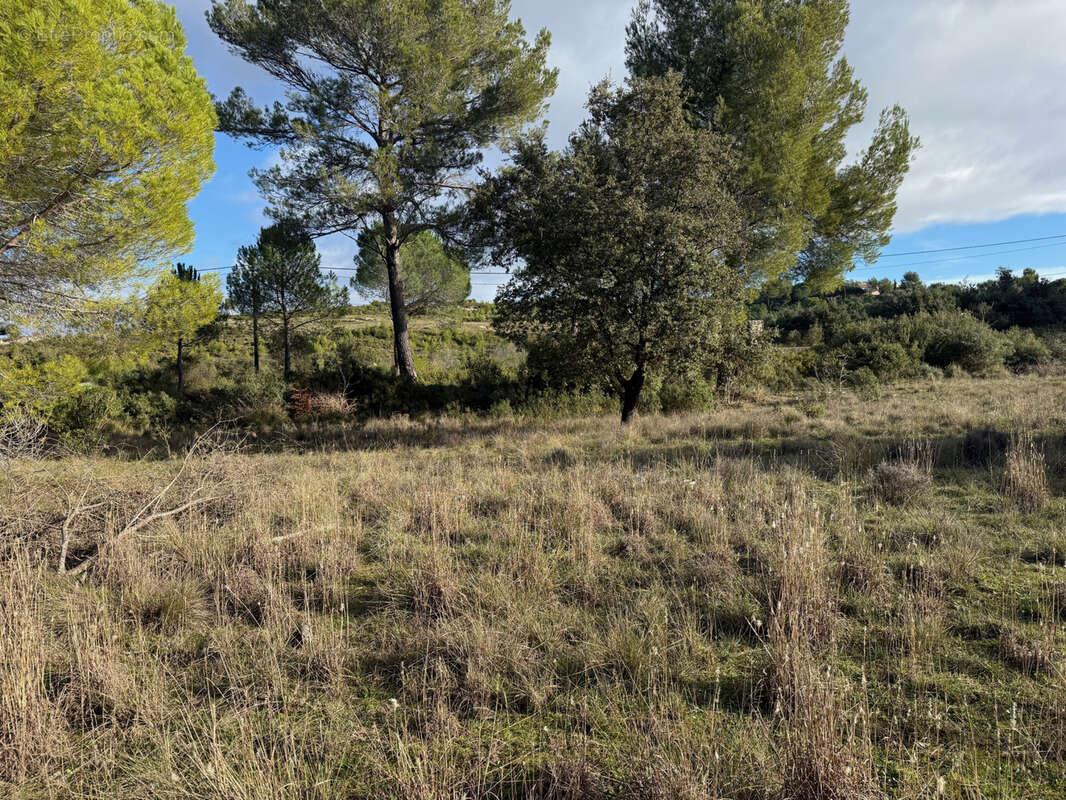 Terrain à GUZARGUES