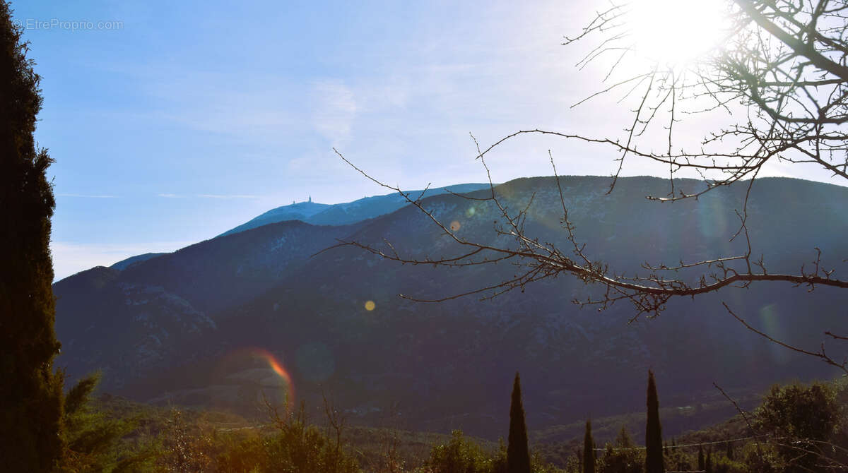 Villa de plain pied avec vue imprenable sur le Ventoux - photo 12