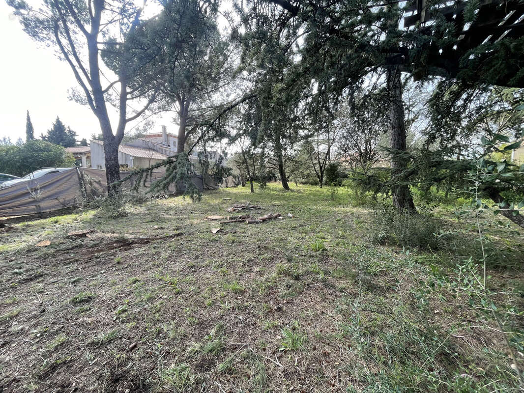 Terrain à SAINT-JEAN-DE-FOS