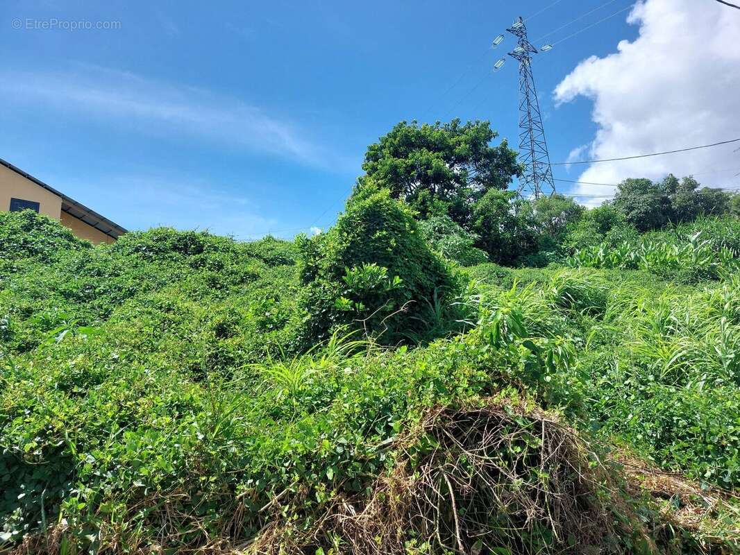 Terrain à SAINT-DENIS