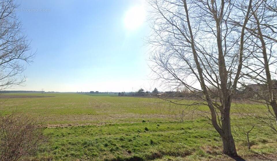 Terrain à ARTANNES-SUR-INDRE
