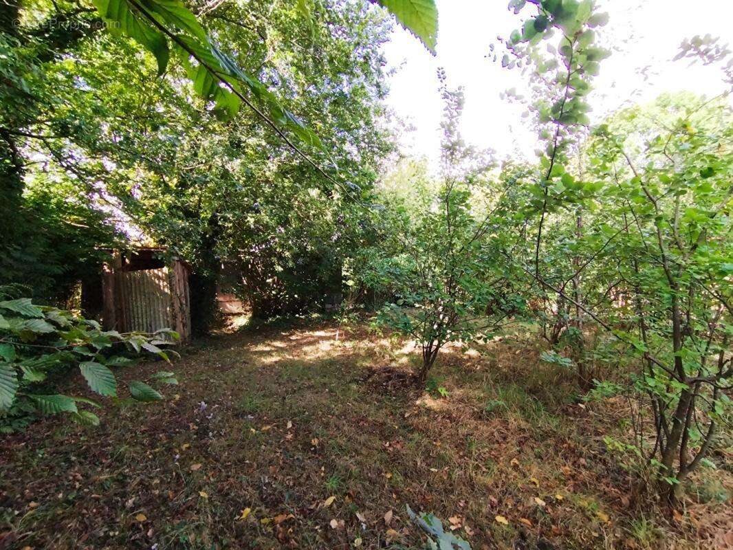 Maison 49m² sur terrain arboré (629m²), Nantes, quartier Gachet - Chantrerie - photo 8