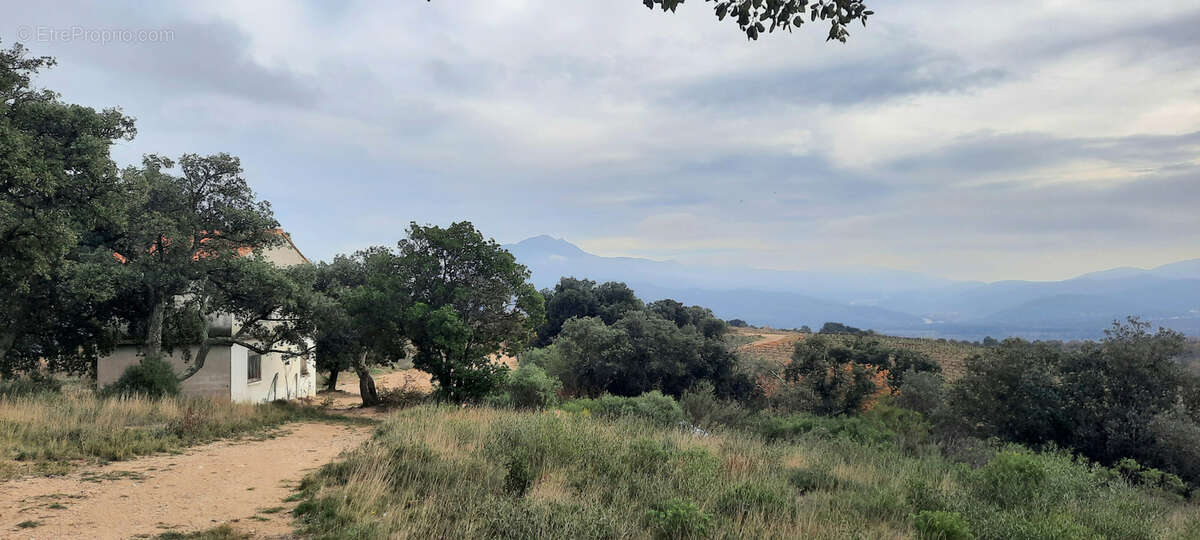 Terrain de loisir avec casot nature vue canigou calme vallespir - photo 6