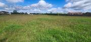 Terrain à SAINT-GAUZENS