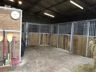 À vendre : propriété équestre, manège, écuries, terrain - Le Dorat - 87 - photo 26