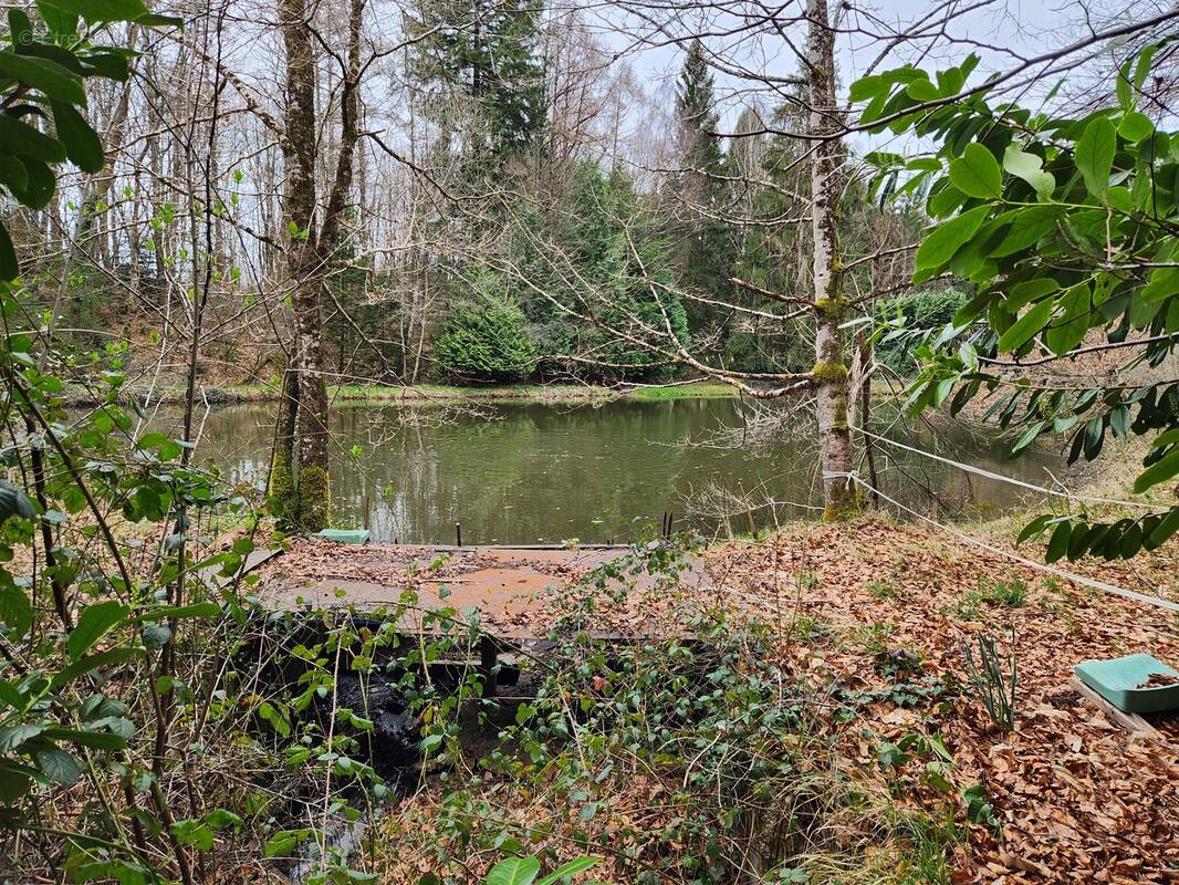 Terrain à BUSSIERE-GALANT