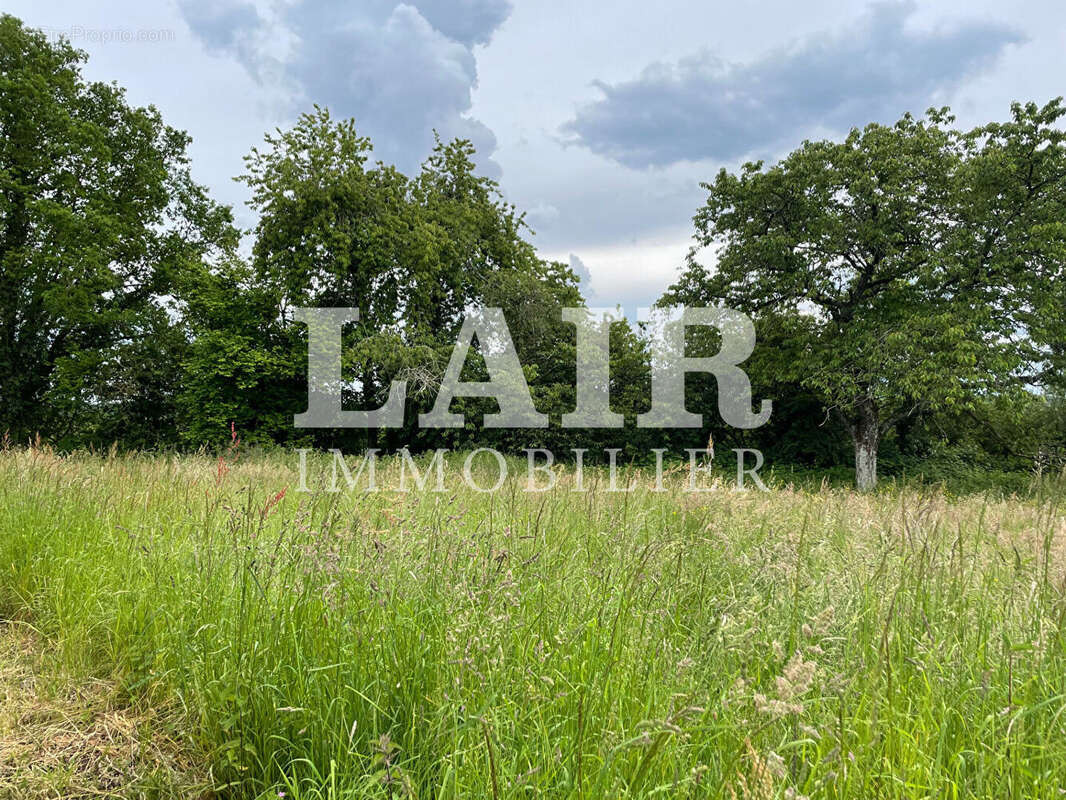 Maison à SAINT-JOUIN-DE-BLAVOU