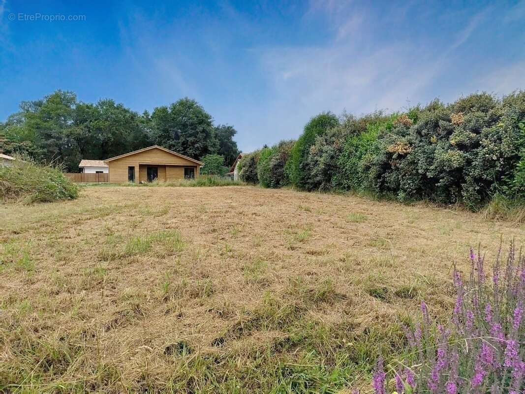 Terrain à SAINT-LON-LES-MINES