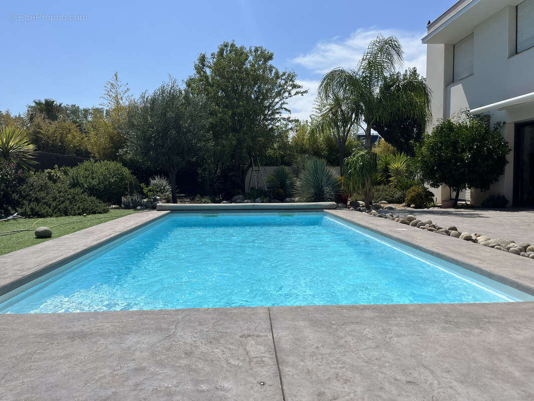 PERPIGNAN SUD : villa contemporaine 6 pièces avec piscine - photo 3