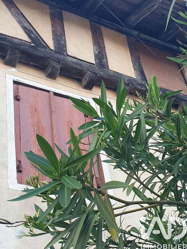 Photo 2 - Maison à BUZET-SUR-BAISE
