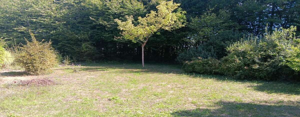 Maison à CEAUX-EN-COUHE