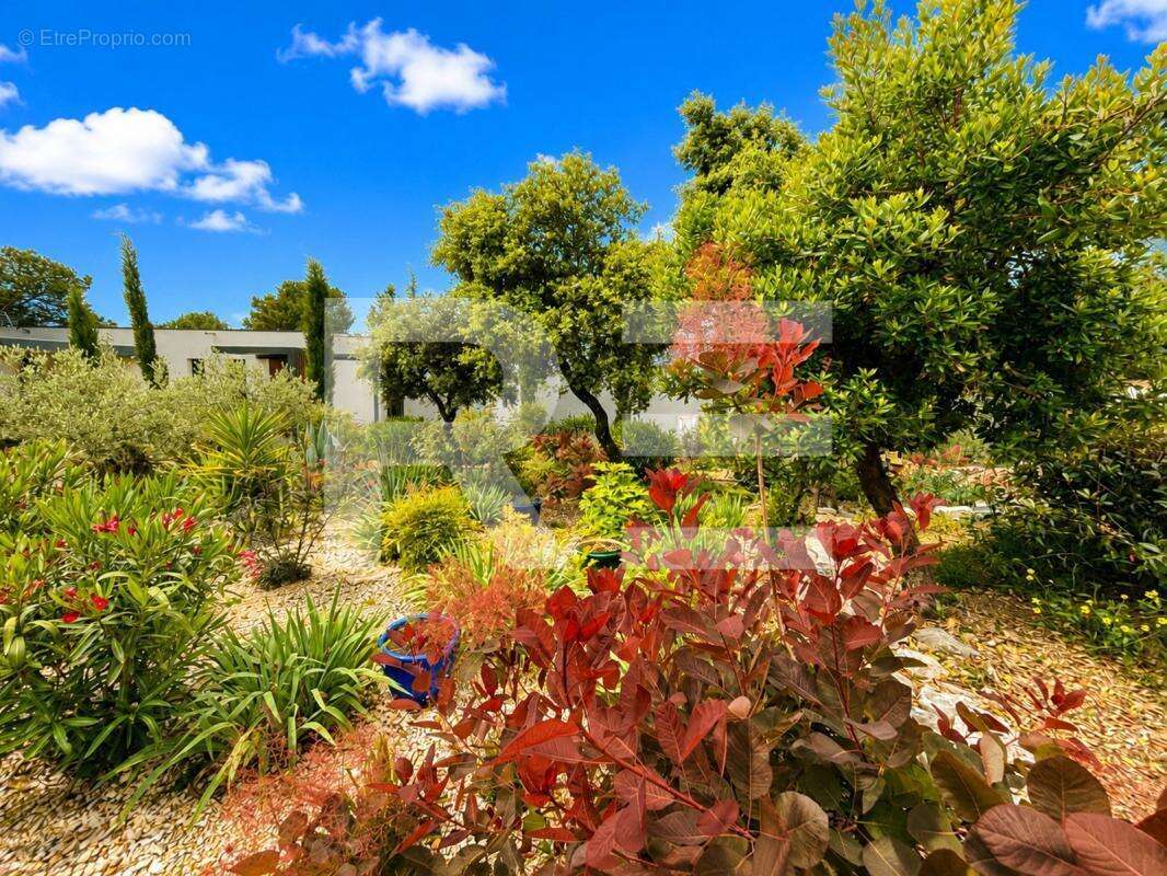 Villa terres de rouviere nimes - photo 13