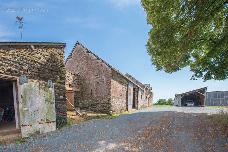 Ensemble en pierre à rénover – 340 m² de potentiel habitable – Hangar 223 m² – Terrain 3 109 m² - photo 20