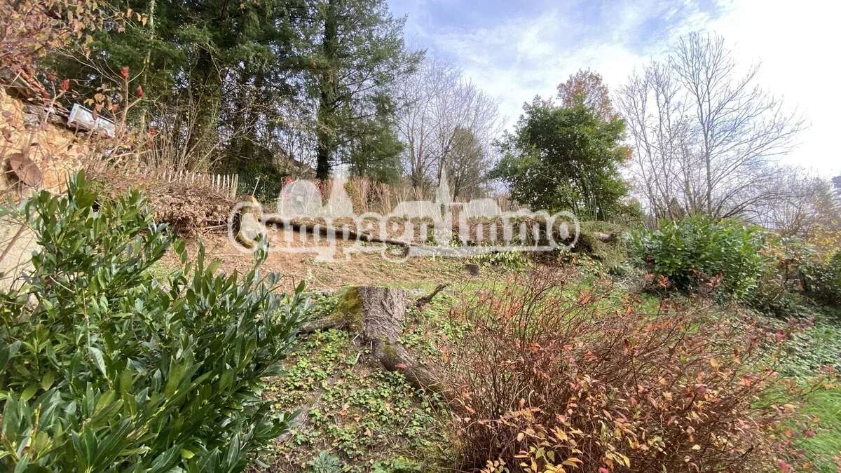 Maison à CHAMBOST-ALLIERES