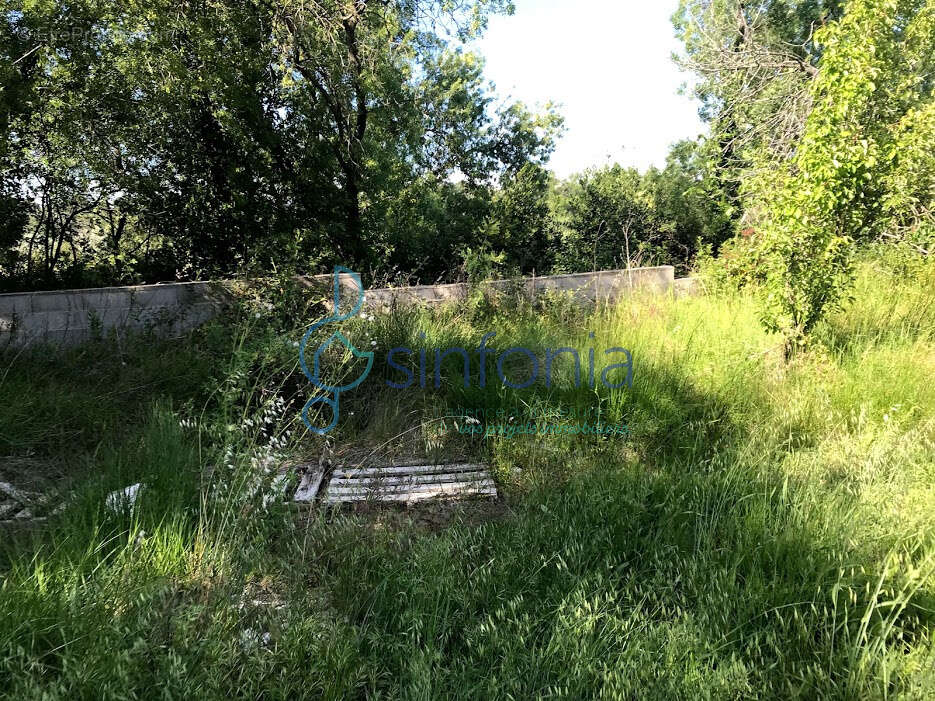 Saint-jean-de-védas   propriété rare à réhabiliter sur 4 835 m2 - photo 10