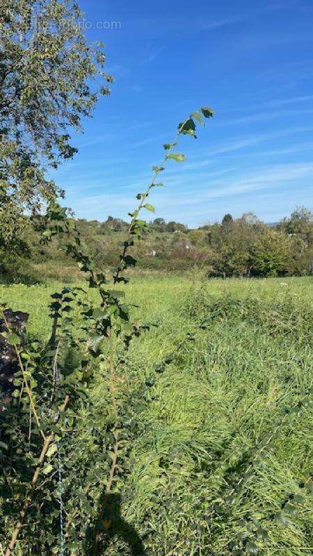 Terrain à BOUXIERES-AUX-CHENES