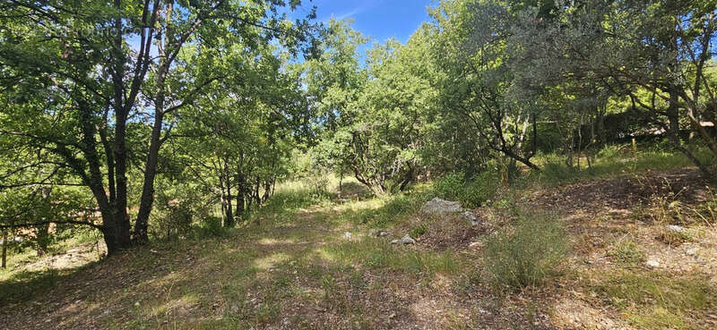 Terrain à construire de 2 800 m² – Vue dégagée, calme, plein sud - photo 6