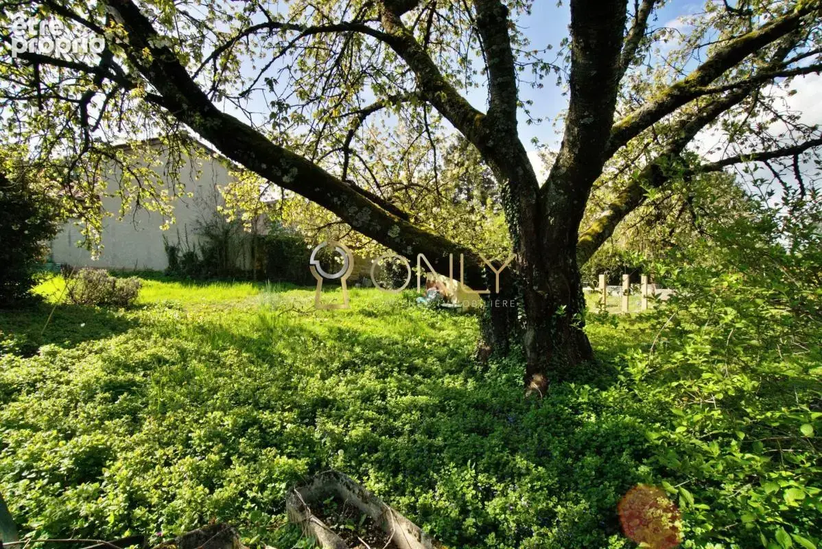 Chasselay - Terrain constructible de 541 m² - photo 1